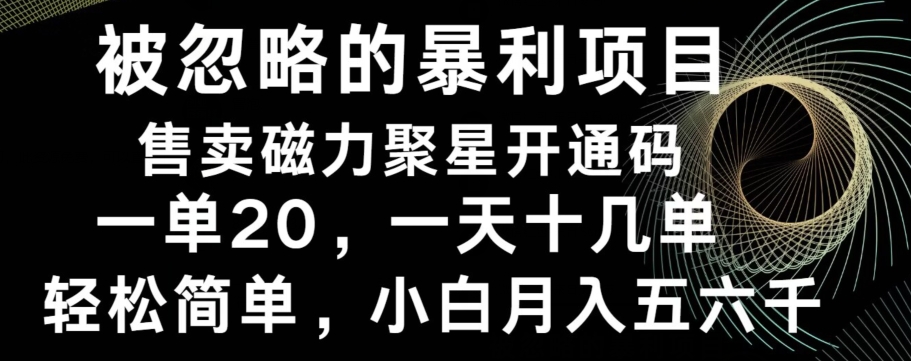 被忽略的暴利项目！售卖磁力聚星开通码，一单20，一天十几单，轻松月入五六千-川融创客