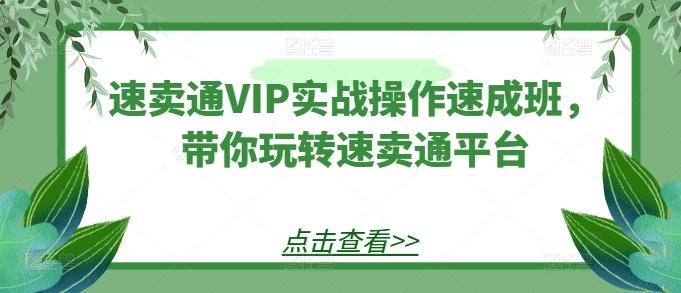 速卖通VIP实战操作速成班，带你玩转速卖通平台-川融创客