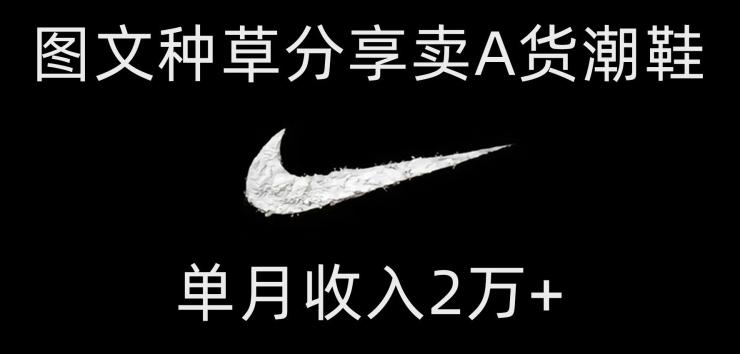 靠图文种草分享卖A货潮鞋，每天一小时，单月收入2万+【揭秘】-川融创客