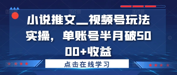 小说推文—视频号玩法实操，单账号半月破5000+收益-川融创客
