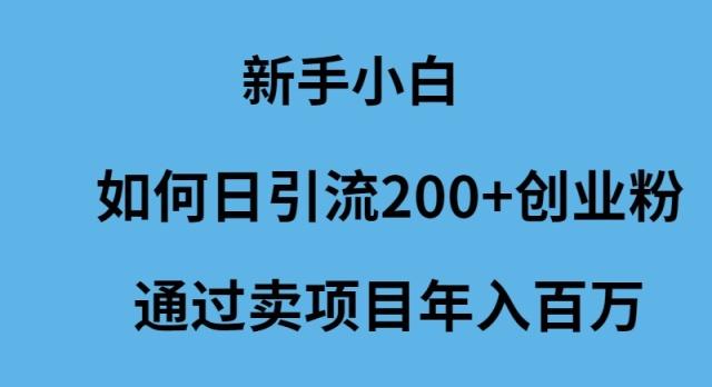 (9668期)新手小白如何日引流200+创业粉通过卖项目年入百万-川融创客