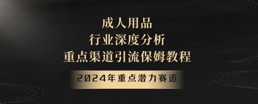 2024年重点潜力赛道,成人用品行业深度分析,重点渠道引流保姆教程【揭秘】