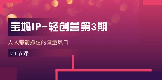 宝妈IP-轻创营第3期，人人都能抓住的流量风口(21节课-川融创客