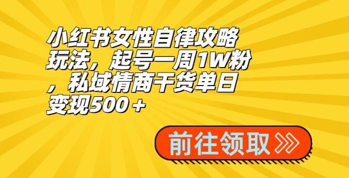 小红书女性自律攻略玩法，起号一周1W粉，私域情商干货单日变现500＋-川融创客