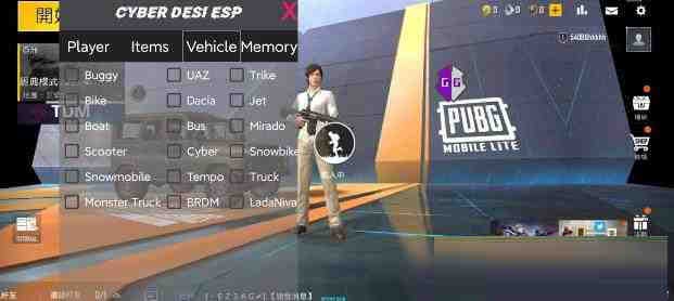 PUBG轻量老外裸奔绘制+自瞄 支持ROOT和框架 里面有全局离线-川融创客