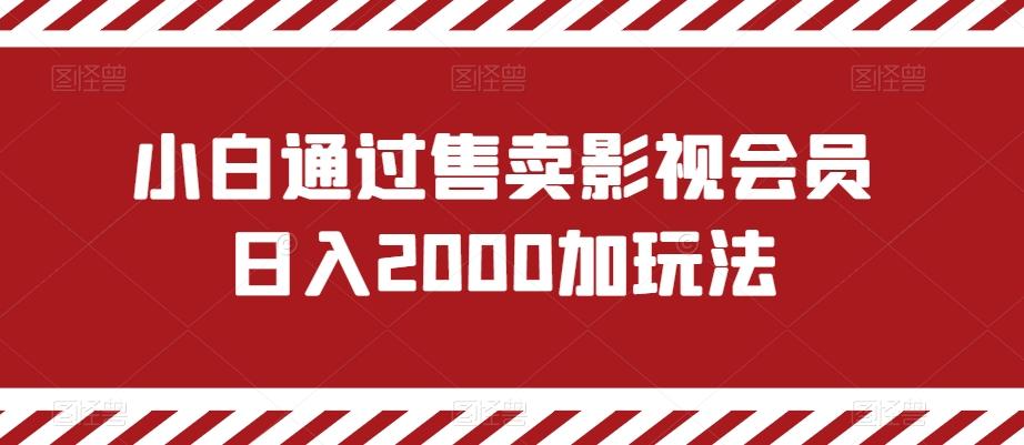 小白通过售卖影视会员日入2000加玩法-川融创客