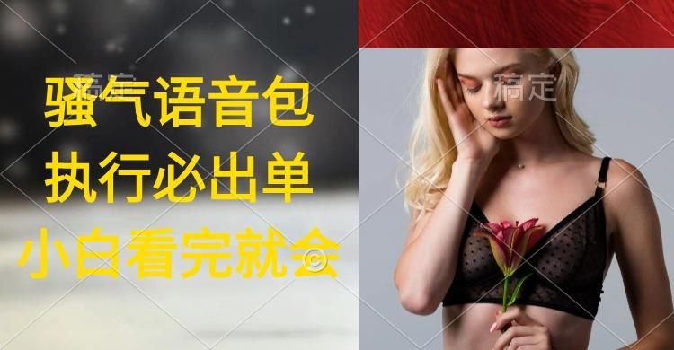 (9589期)执行就出单，日入2000+，超火骚气语音包，小白看完课程就能马上实操-川融创客