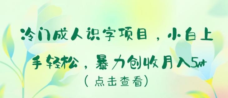 冷门成人识字项目，小白上手轻松，暴力创收月入5w+【揭秘】-川融创客