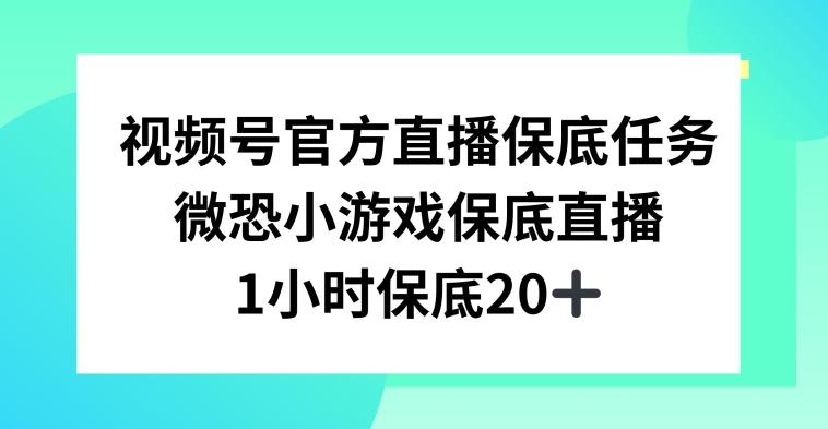 视频号直播任务，微恐小游戏，1小时20+【揭秘】-川融创客