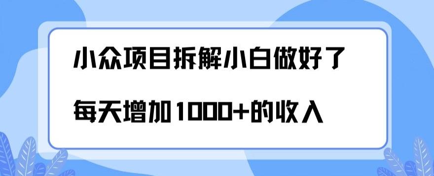 小众项目拆解，小白做好了每天可增加1000多的收入-川融创客