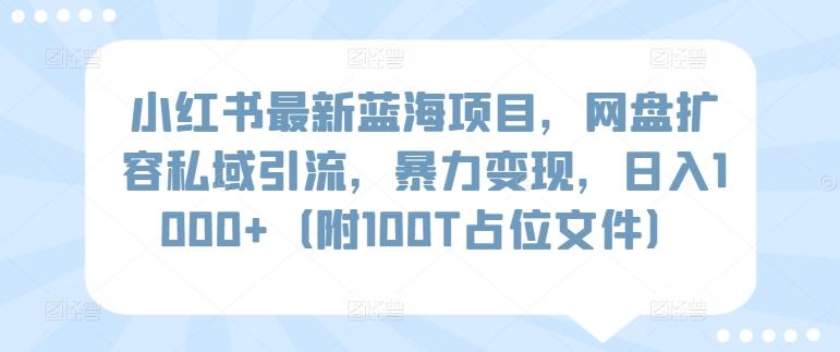 小红书最新蓝海项目，网盘扩容私域引流，暴力变现，日入1000+(附100T占位文件)【揭秘】-川融创客