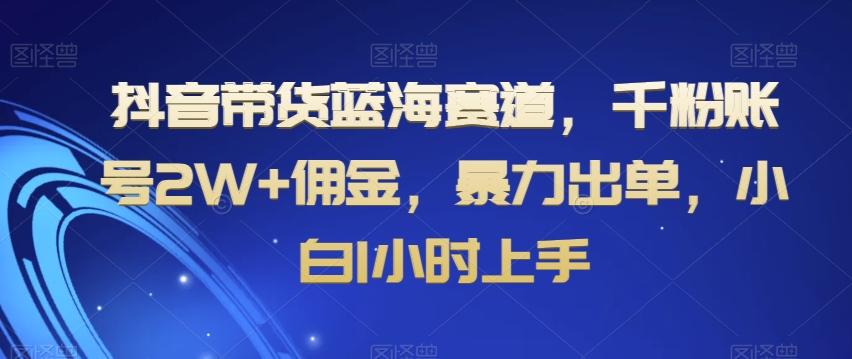 抖音带货蓝海赛道，千粉账号2W+佣金，暴力出单，小白1小时上手【揭秘】-川融创客