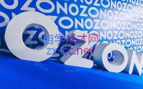 森哥·出海俄罗斯电商实操(2024)-川融创客