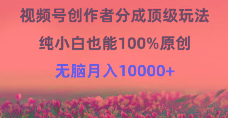 (9608期)视频号创作者分成顶级玩法，纯小白也能100%原创，无脑月入10000+-川融创客