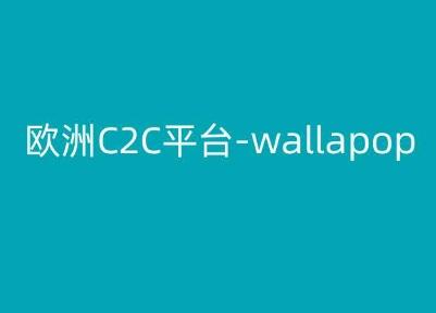 欧洲C2C平台-wallapop-kim跨境电商教程-川融创客