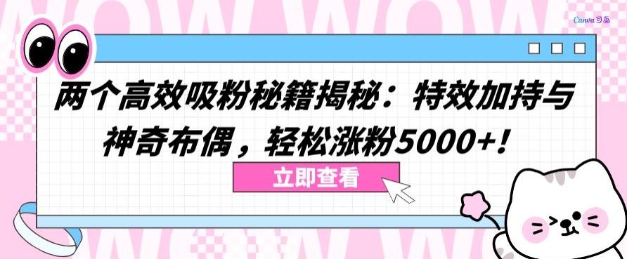 两个高效吸粉秘籍揭秘：特效加持与神奇布偶，轻松涨粉5000+【揭秘】-川融创客