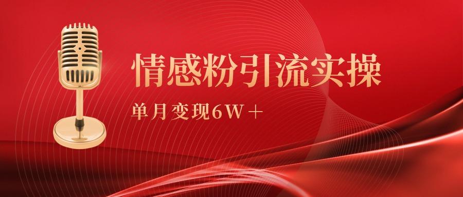 (9473期)单月变现6w+，情感粉引流变现实操课-川融创客