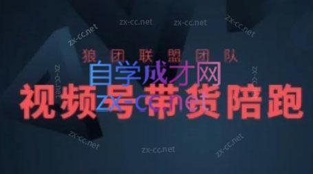 狼团联盟·2024视频号带货-川融创客