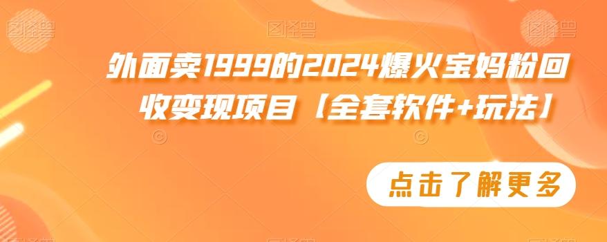 外面卖1999的2024爆火宝妈粉回收变现项目【全套软件+玩法】【揭秘】-川融创客