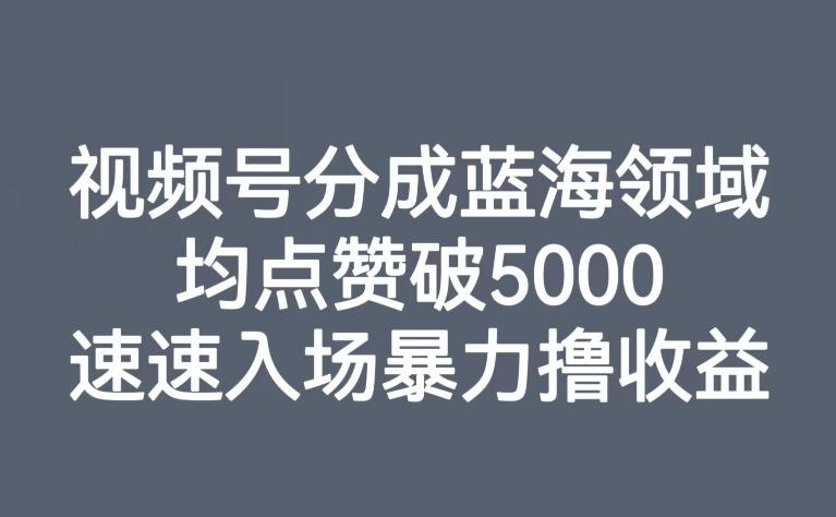视频号分成蓝海领域，均点赞破5000，速速入场暴力撸收益-川融创客