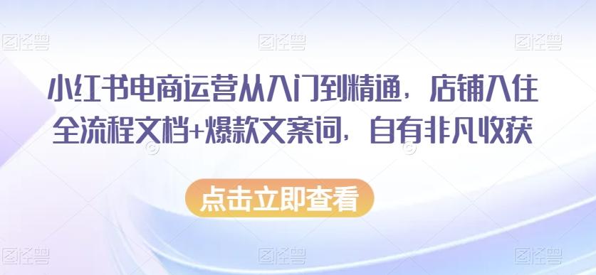 小红书电商运营从入门到精通，店铺入住全流程文档+爆款文案词，自有非凡收获-川融创客