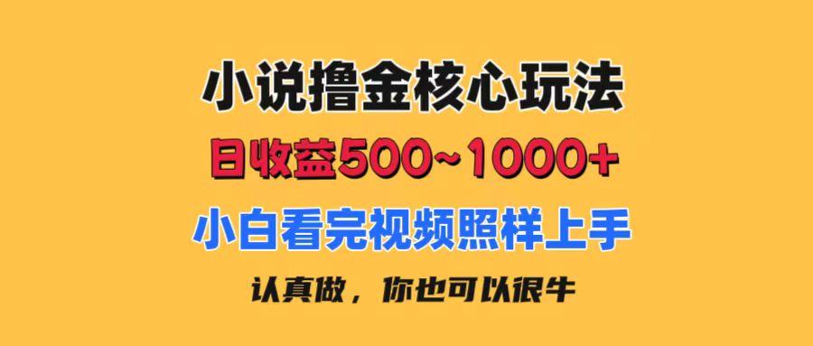 小说撸金核心玩法，日收益500-1000+，小白看完照样上手，0成本有手就行-川融创客