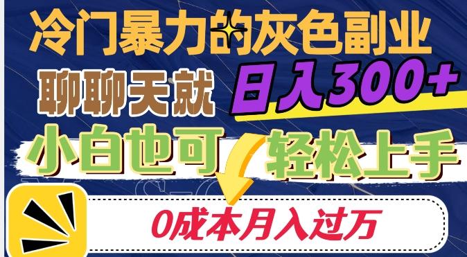 冷门暴利的副业项目，聊聊天就能日入300+，0成本月入过万【揭秘】-川融创客