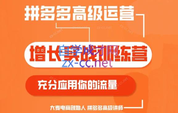 大麦老师·拼多多单品爆款打造课程(更新6月)-川融创客