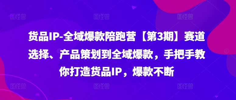 货品IP全域爆款陪跑营【第3期】赛道选择、产品策划到全域爆款,手把手教你打造货品IP,爆款不断