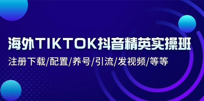 海外TIKTOK抖音精英实操班：注册下载/配置/养号/引流/发视频/等等-川融创客