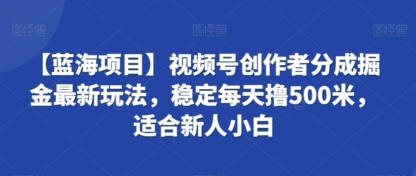 【蓝海项目】视频号创作者分成掘金最新玩法，稳定每天撸500米，适合新人小白【揭秘】-川融创客