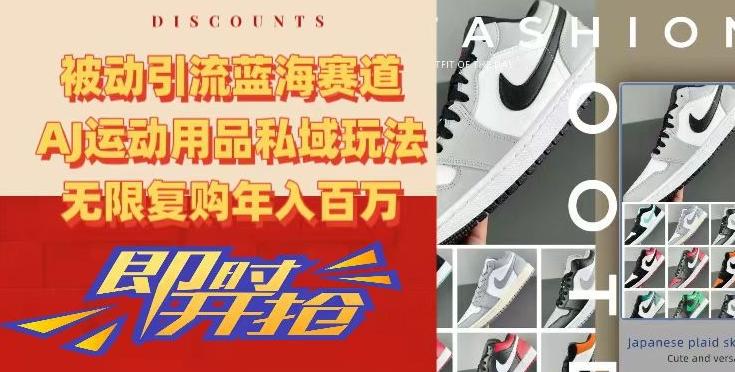被动引流蓝海赛道，AJ运动用品私域玩法，无限复购年入百万【揭秘】-川融创客