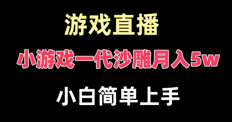 玩小游戏一代沙雕月入5w，爆裂变现，快速拿结果，高级保姆式教学【揭秘】-川融创客