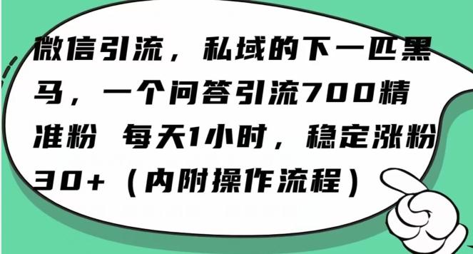 怎么搞精准创业粉？微信新赛道，每天一小时，利用Ai一个问答日引100精准粉-川融创客