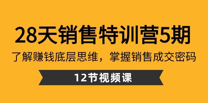 28天销售特训营5期：了解赚钱底层思维，掌握销售成交密码（12节课）-川融创客