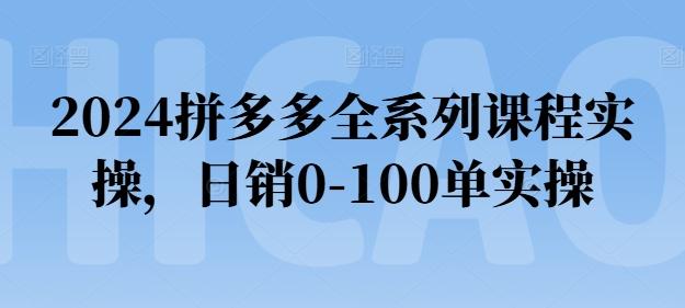 2024拼多多全系列课程实操，日销0-100单实操【必看】-川融创客