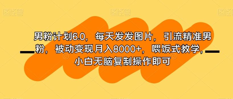 男粉计划6.0，每天发发图片，引流精准男粉，被动变现月入8000+，喂饭式教学，小白无脑复制操作即可-川融创客