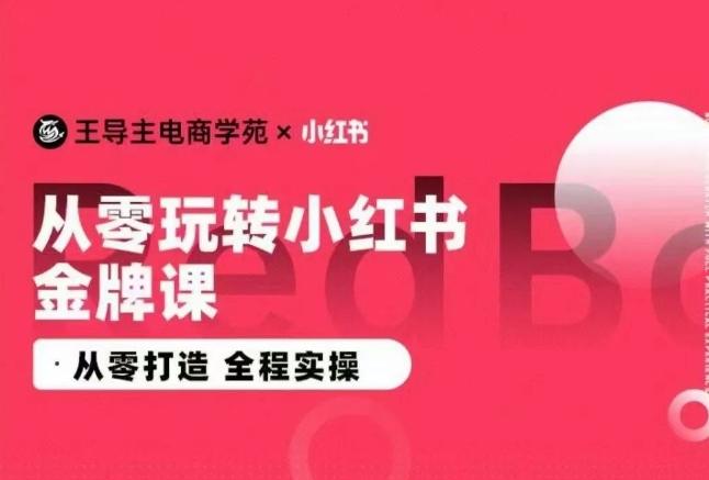 王导主·小红书电商运营实操课，​从零打造  全程实操-川融创客