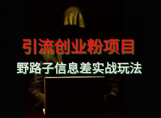 【引流创业粉】野路子信息差玩法实战教学-川融创客
