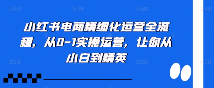 小红书电商精细化运营全流程，从0-1实操运营，让你从小白到精英-川融创客