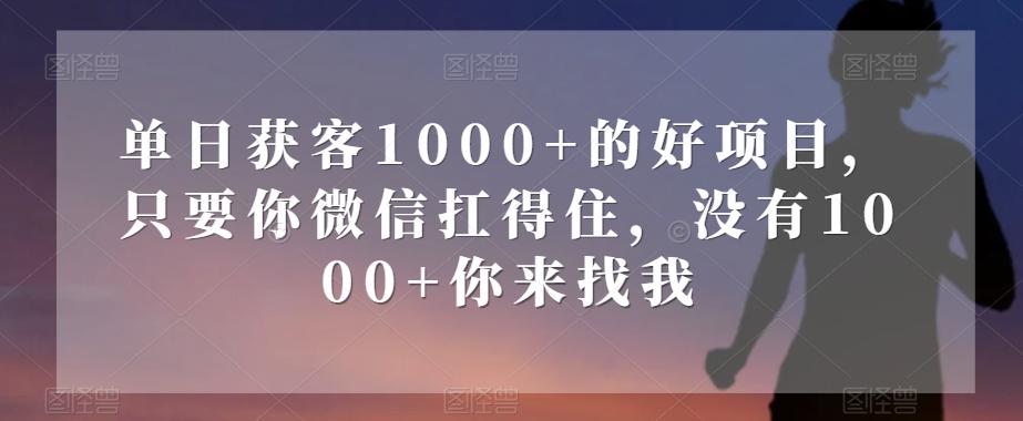 单日获客1000+的好项目，只要你微信扛得住，没有1000+你来找我【揭秘】-川融创客