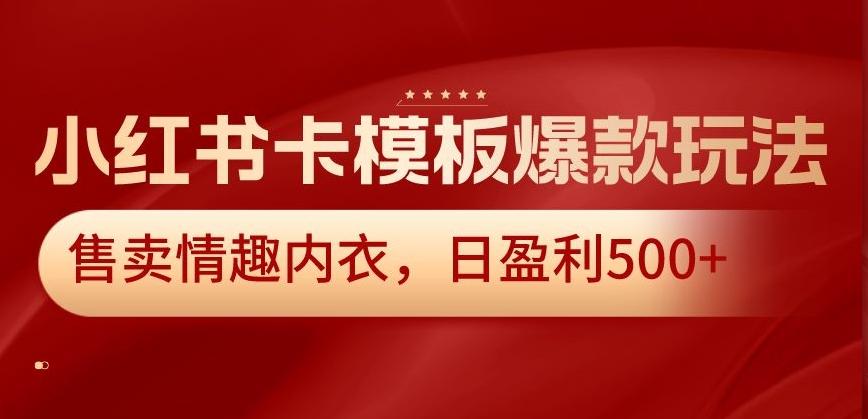小红书卡模板爆款玩法，售卖情趣内衣，日盈利500+【揭秘】-川融创客