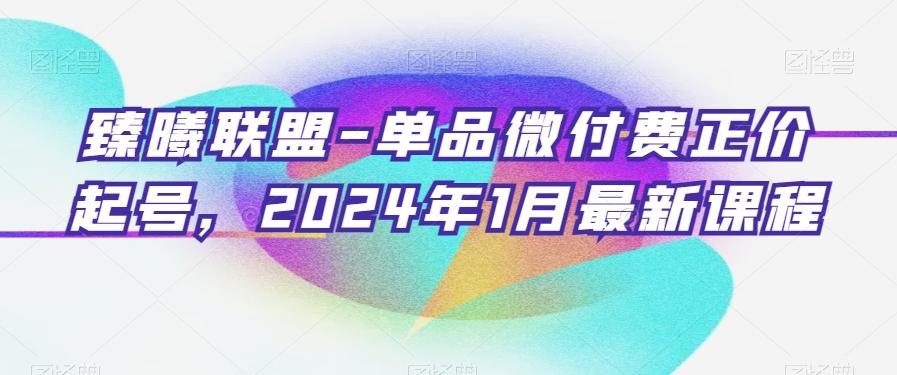 臻曦联盟-单品微付费正价起号，2024年1月最新课程-川融创客