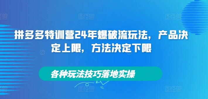 拼多多特训营24年爆破流玩法，产品决定上限，方法决定下限，各种玩法技巧落地实操-川融创客