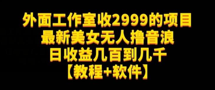 外面工作室收2999的项目最新美女无人撸音浪日收益几百到几千【教程+软件】（仅揭秘）-川融创客