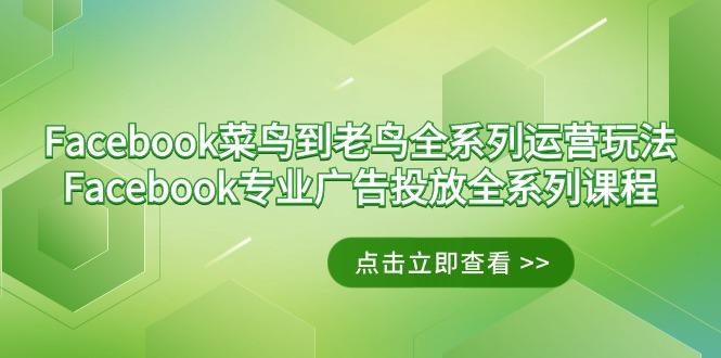 Facebook-菜鸟到老鸟全系列运营玩法+Facebook-专业广告投放全系列课程-川融创客
