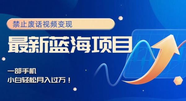 最新蓝海项目，靠禁止废话视频变现，一部手机，小白轻松月入过万！-川融创客