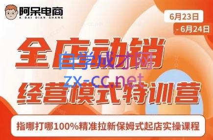 阿呆电商·全店动销经营模式特训营(线下录音+思维导图)-川融创客