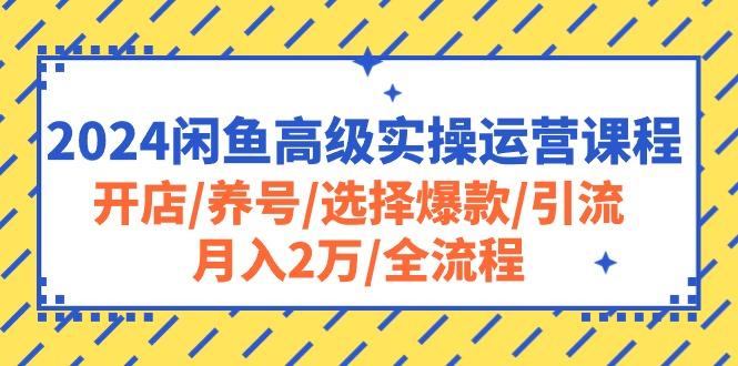 2024闲鱼高级实操运营课程：开店/养号/选择爆款/引流/月入2万/全流程-川融创客
