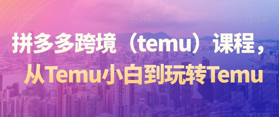 拼多多跨境（temu）课程，从Temu小白到玩转Temu-川融创客